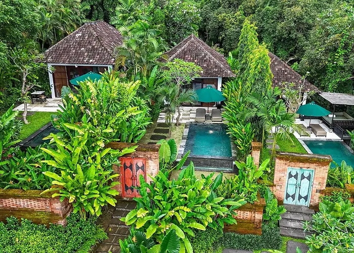 The Damai 5* Lovina Beach