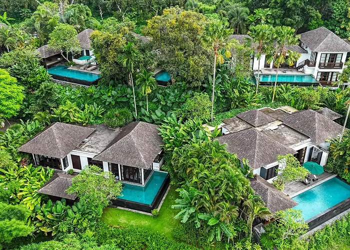 The Damai 5*