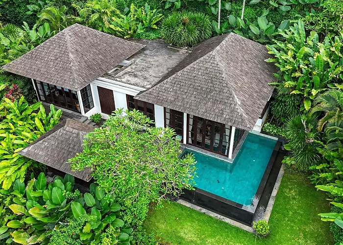 The Damai