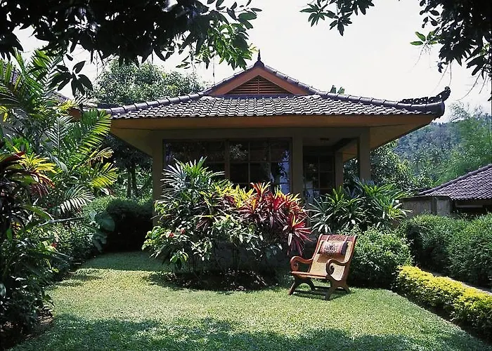 The Damai Lovina Beach